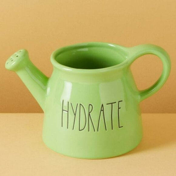 NWT Rae Dunn 5 in Hydrate Watering Can Planter - Picture 2 of 5